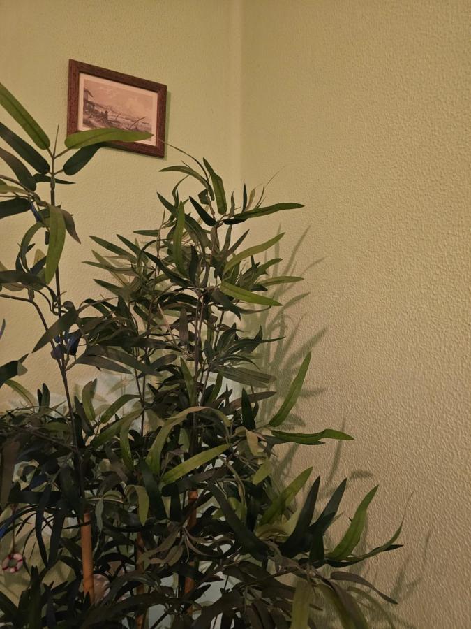 א-קורוניה Habitacion Amplia Y Centrica En Piso Compartido מראה חיצוני תמונה